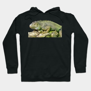 Green Iguana Hoodie